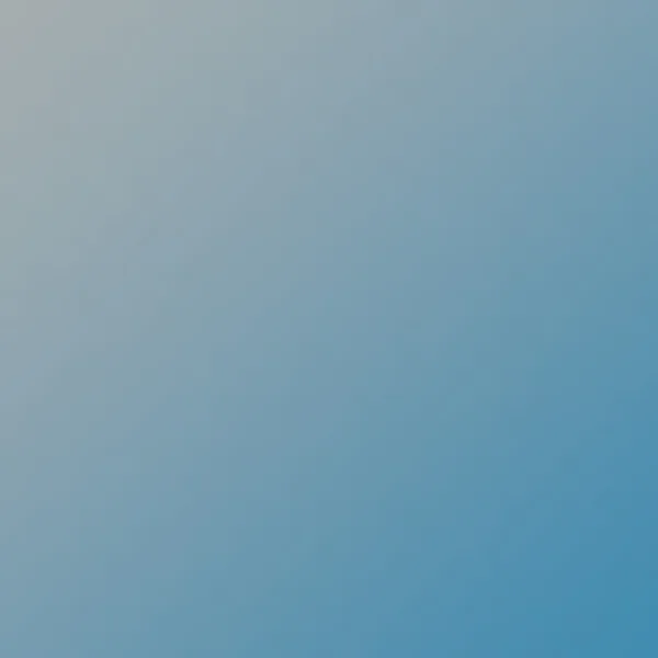 CINZA E AZUL — Nécessaire Nylon